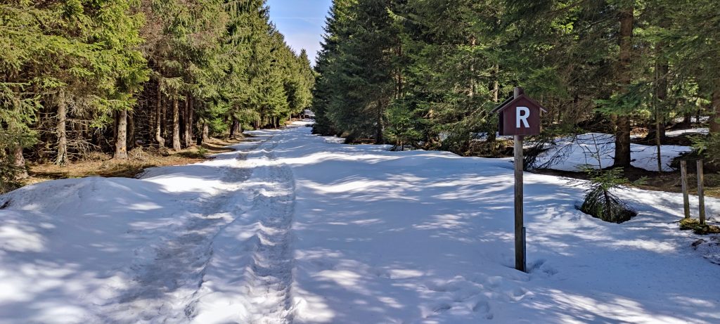 Rennsteig im April - Um Oberhof begleitet uns der Schnee - zum Glück ist eine Spur getreten, sodass man gut laufen kann