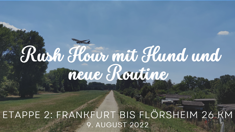 Frankfurt bis Flörsheim - Rush Hour mit Hund und Wanderrucksack