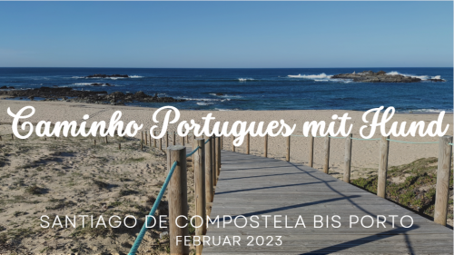Jakobsweg Portugal: Caminho Portugues mit Hund