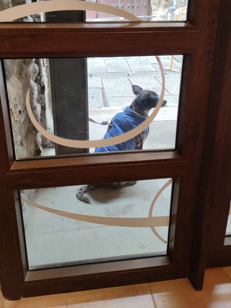 Hunde müssen vor Cafés und Geschäften in Spanien draußen warten