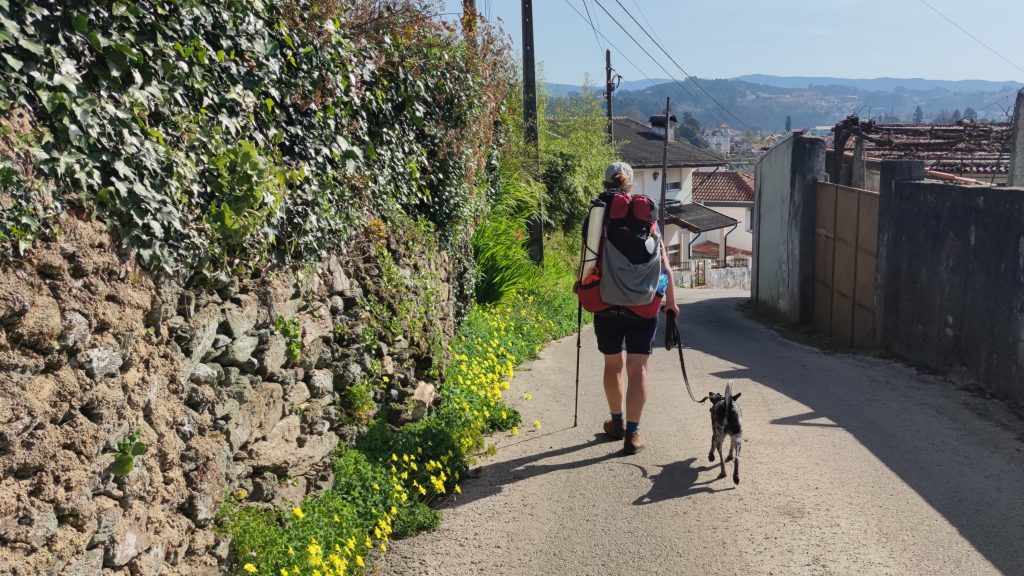 Jakobsweg Portugal mit Hund