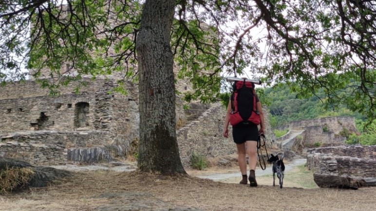 Trekking Soonwaldsteig mit Hund - Schmidtburg bis Kirn