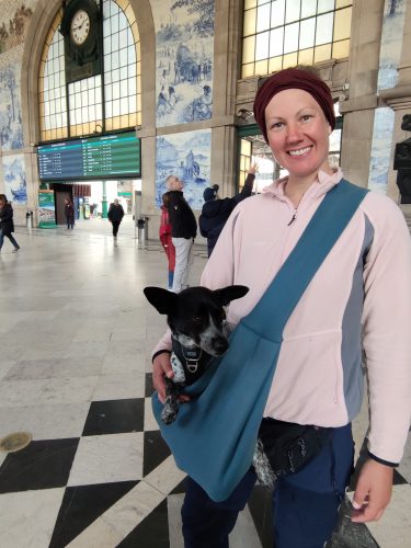 Porto - Stadttag mit Hund, Lola ist so froh über die Tragetasche im Getümmel