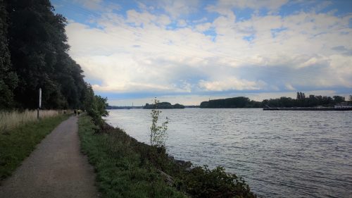 Viele Kilometer am Rhein entlang